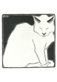 Witte poes, M.C. Escher