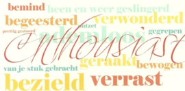 Een jaar lang, Symposion