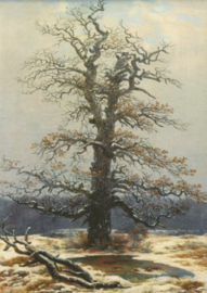 Eik in de sneeuw, Caspar David Friedrich