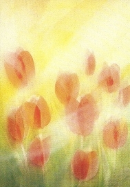 Tulpen, Jan de Kok