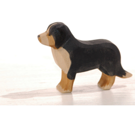 Berner Sennenhond