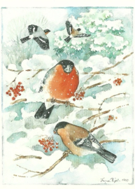Vogels in de winter, Ingvar Björk