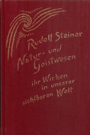 Natur- und Geistwesen – ihr Wirken in unserer sichtbaren Welt GA 98 / Rudolf Steiner