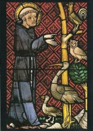 Vogelpreek van de heilige Franciscus, Königsfelden