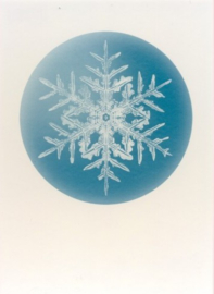 Stellar Snowflake no.332, Wilson Alwyn Bentley
