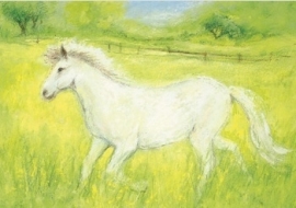 Het witte paardje, Marjan van Zeyl