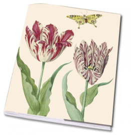 Schrift Tulpen, Jacob Marrel