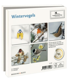 Wintervogels, Vogelbescherming