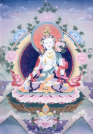 White Tara, Pieter Weltevrede