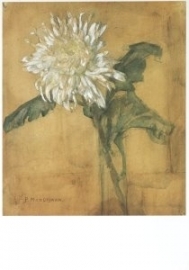 Chrysant, Piet Mondriaan