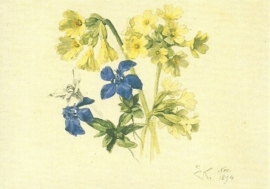 Sleutelbloem, gentiaan en edelweiss, Ernst Kreidolf