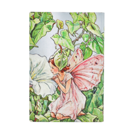 12 maands agenda Paperblanks 2027 Bindweed Fairy Mini Horizontal