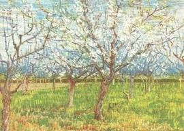Bloeiende abrikozenbomen, Vincent van Gogh