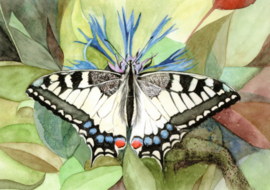 Koninginnepage, Christel Cannister
