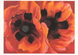 Papavers, Georgia O'Keeffe