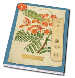 Schrift Herbarium, Naturalis Biodiversity Center