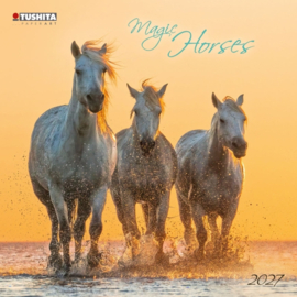 Magic Horses, 30x30cm maandkalender 2027