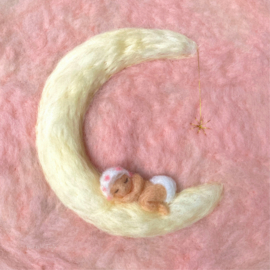 Toverlux silhouette Baby roze (Het Wolfeetje)