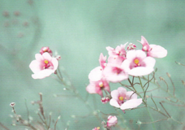 Twijgen met roze bloemen, Annemarie Oerer