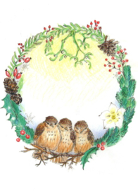 Winter, Wulpekula Schneider-Martens