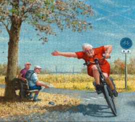 Puzzels vanaf 500 stukjes