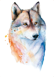 Wolf, Veerle