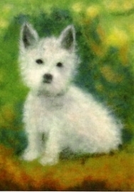 Hondje, Stefan Schmidt