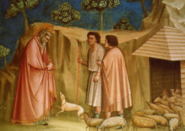 Joachim bij de schapen, Giotto