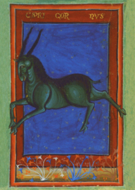 Steenbok, Liber Astrologiae