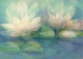 Lotusbloemen, B. Steen