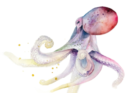 Octopus, Veerle