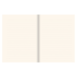Bookbound Journal Peter Pauper Golden Flight