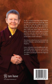Als je wereld instort / Pema Chödrön