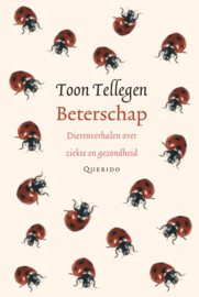 Beterschap / Toon Tellegen