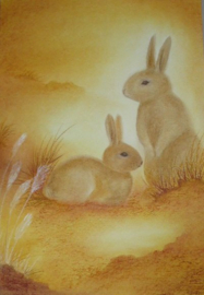 Posters Sonja Schoppers