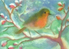 Roodborstje in de winter, Angela Koconda