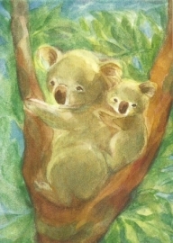 Koalaberen, Marie- Laure Viriot