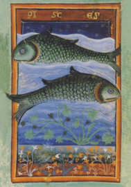 Vissen, Liber Astrologiae