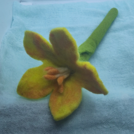 Bloem geel/oranje