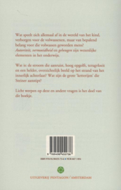 Innerlijk vuur / Hugo Pronk