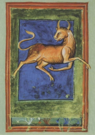 Stier, Liber Astrologiae