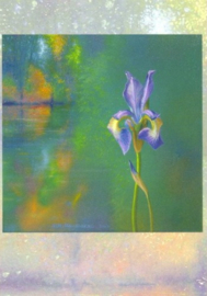 Green, Ger Stallenberg