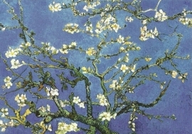 Amandelbloesem, Vincent van Gogh