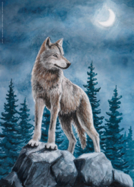 De wolf, Raphaela Berendt, poster DIN A3