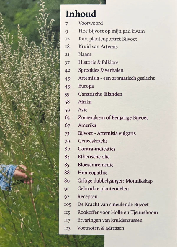 Bijvoet / Tanja Hilgers