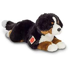 Hond Berner Sennen liggend (40 cm)