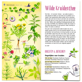 Wilde Kruidenthee / Tanja Hilgers