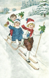 Kinderen op ski en slee
