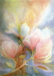 Magnolia, Janet Jordan