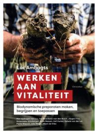 Werken aan vitaliteit / Luc Ambagts